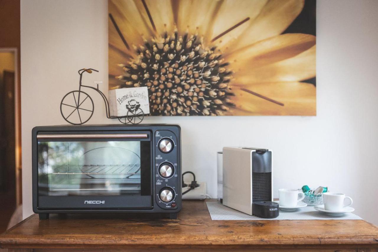 ביבונה Podere San Filippo B&B-Apartment-Pet Friendly-Rent Bike And Bike Friendly חדר תמונה
